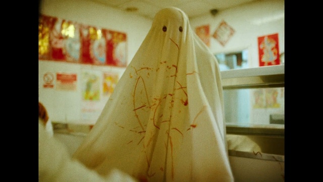 Video Reference: Dress, Wedding dress, Bridal clothing, Wood, Sleeve, Lamp, Gown, Headgear, Bridal accessory, Tree