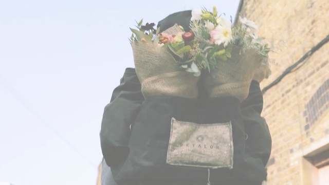 Video Reference: photograph, flower