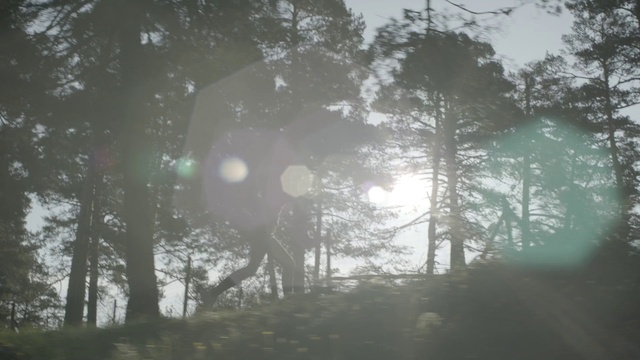 Video Reference: Atmospheric phenomenon, Nature, Tree, Natural environment, Sunlight, Light, Morning, Mist, Forest, Sky