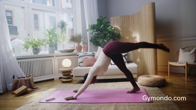 Video Reference: Plant, Yoga mat, Active pants, yoga pant, Window, Thigh, Knee, Houseplant, Floor, Flooring