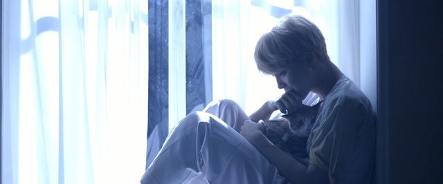 Video Reference: blue, photograph, shoulder, girl, window, conversation