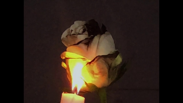 Video Reference: Heat, Lighting, Fire, Art, Lantern, Flame, Lamp, Darkness