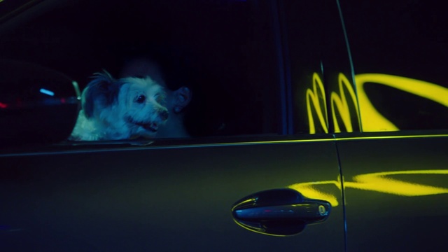 Video Reference: Blue, Light, Electric blue, Automotive design, Graphics, Vehicle door