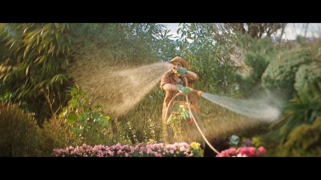 Video Reference: Nature, Natural environment, Sunlight, Jungle, Organism, Water, Grass, Forest, Photography, Woodland