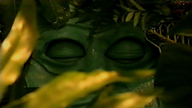 Video Reference: green, face, nature, yellow, close up, leaf, darkness, flora, jungle, organism