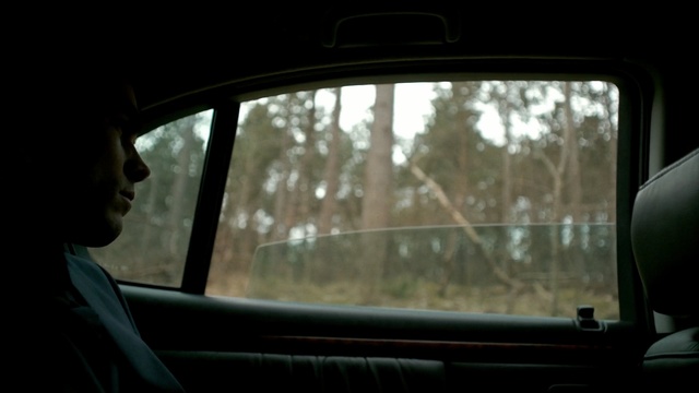 Video Reference: car, land vehicle, motor vehicle, reflection, family car, automotive mirror, mode of transport, vehicle door, vehicle, driving