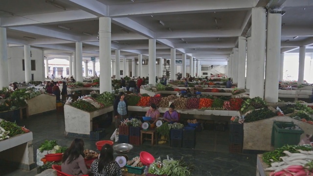 Video Reference: Building, Houseplant, Floristry, Plant, Interior design