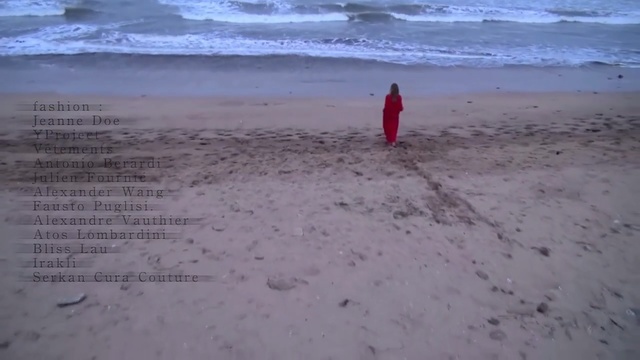 Video Reference: beach, sea, shore, sand, body of water, wind wave, ocean, sky, vacation, geological phenomenon