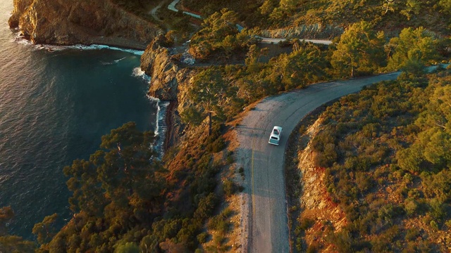 Video Reference: Water, Water resources, Plant, Ecoregion, Natural landscape, Highland, Sunlight, Tree, Slope, Watercourse