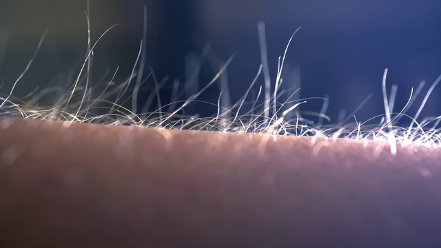 Video Reference: Sky, Light, Grass, Water, Lighting, Close-up, Atmosphere, Line, Night, Grass family