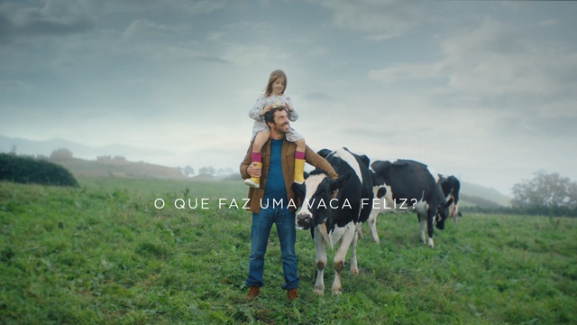 Video Reference: grassland, pasture, horse, horse like mammal, grass, rural area, cattle like mammal, prairie, farm, ranch