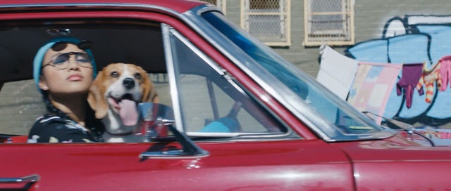 Video Reference: car, motor vehicle, vehicle, automotive design, city car, snout, vehicle door, automotive exterior, fun, family car, Person