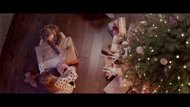 Video Reference: Christmas, Christmas tree, Fashion, Christmas ornament, Tree, Photography, Christmas eve, Christmas decoration, Interior design, Plant