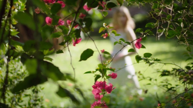 Video Reference: Flowering plant, Flower, Plant, Branch, Bird, Petal, Hummingbird, Person