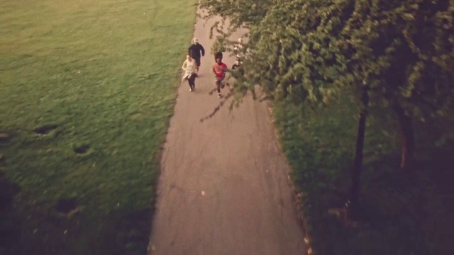 Video Reference: Photograph, Atmospheric phenomenon, Tree, Snapshot, Photography, Sunlight, Road, Soil, Landscape, Recreation