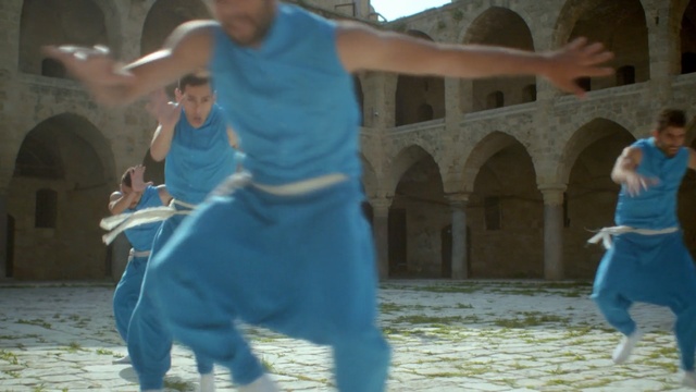 Video Reference: Fun, Kung fu, Dance, Person