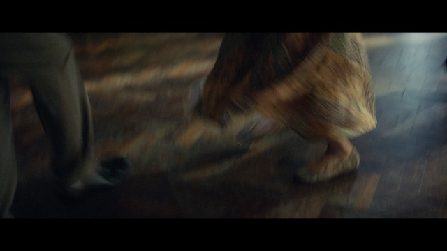 Video Reference: Brown, Wood, Art, Darkness, Leg, Hardwood, Photography, Screenshot, Floor, Cg artwork