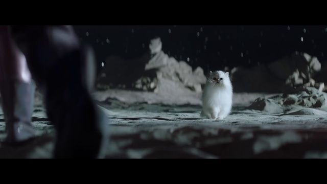 Video Reference: Black, Darkness, Black-and-white, Monochrome photography, Atmosphere, Sky, Snapshot, Photography, Monochrome, Screenshot