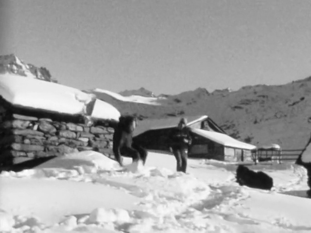 Video Reference: airplane, black and white, aircraft, aviation, snow, ecosystem, mode of transport, geological phenomenon, military aircraft, monochrome photography, Person