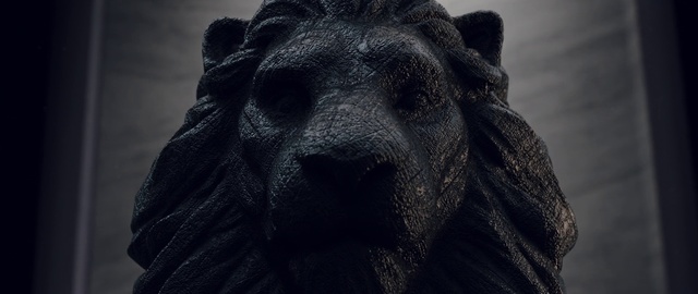 Video Reference: Black, Head, Snout, Terrestrial animal, Black-and-white, Fur, Organism, Photography, Temple, Monochrome photography