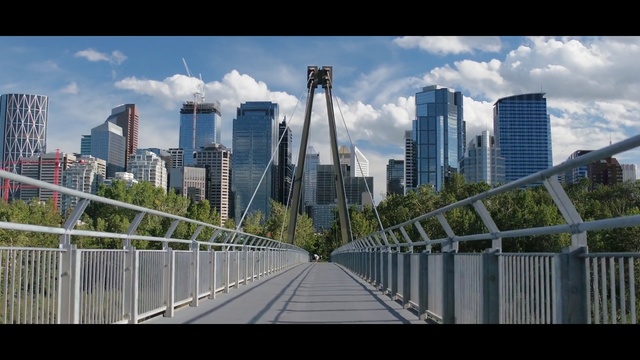 Video Reference: metropolitan area, urban area, skyline, city, metropolis, sky, cityscape, skyscraper, landmark, bridge, Person