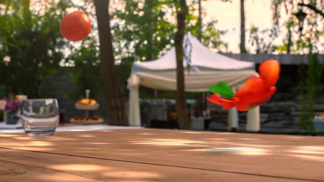 Video Reference: plant, recreation, tree, leisure, balloon, Person