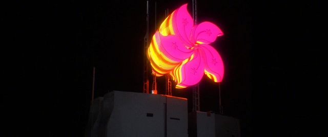 Video Reference: light, lighting, darkness, night, event, neon