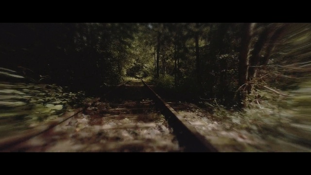 Video Reference: Nature, Natural environment, Tree, Forest, Sky, Woodland, Atmosphere, Darkness, Landscape, Grass