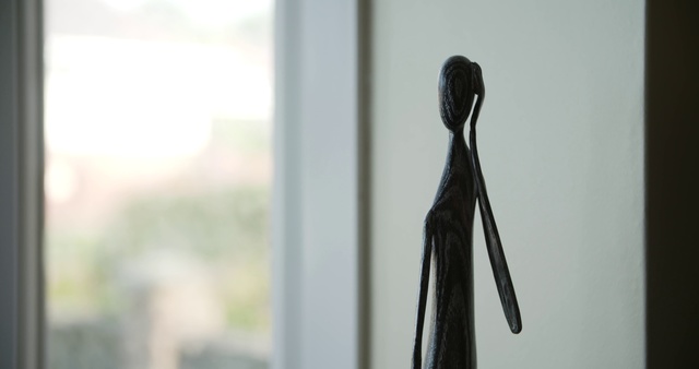 Video Reference: Shadow, Material property, Photography