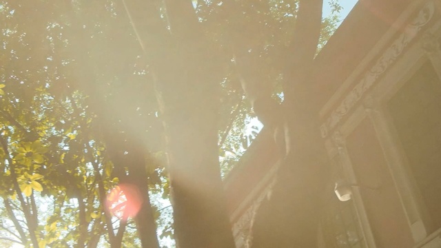 Video Reference: spider web, shower curtain, web, curtain