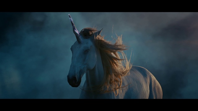 Video Reference: Unicorn, Sky, Fictional character, Horse, Mythical creature, Cg artwork, Mane, Organism, Screenshot, Darkness