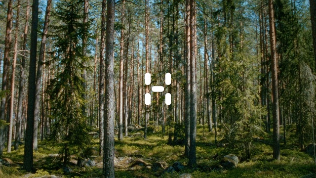 Video Reference: ecosystem, forest, spruce fir forest, woodland, nature reserve, tree, temperate broadleaf and mixed forest, old growth forest, grove, tropical and subtropical coniferous forests