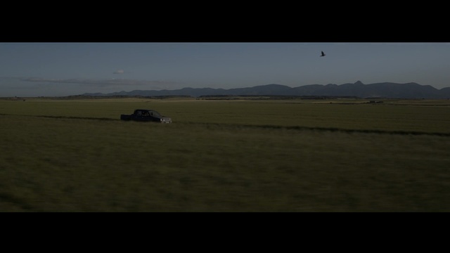 Video Reference: grassland, plain, sky, ecosystem, field, prairie, steppe, atmosphere, ecoregion, pasture