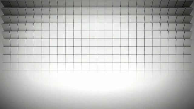 Video Reference: black, black and white, light, monochrome photography, monochrome, line, pattern, design, symmetry, angle, Person