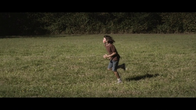 Video Reference: Grass, Grassland, Natural environment, Meadow, Pasture, Lawn, Grass family, Fun, Field, Prairie