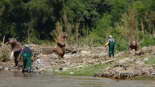 Video Reference: bank, wildlife, plant, tree, pack animal, water, agriculture, jungle, Person