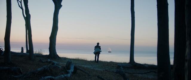 Video Reference: Sky, Atmospheric phenomenon, Tree, Water, Photography, Sea, Horizon, Winter, Plant, Ocean, Person