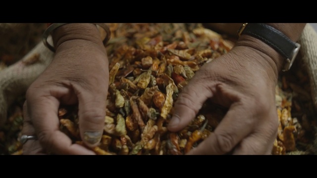 Video Reference: finger, hand, Person