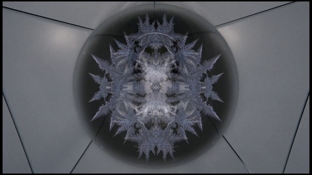 Video Reference: Plant, Person