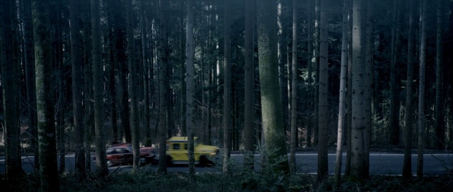 Video Reference: nature, forest, tree, atmosphere, sky, spruce fir forest, biome, temperate coniferous forest, darkness, old growth forest