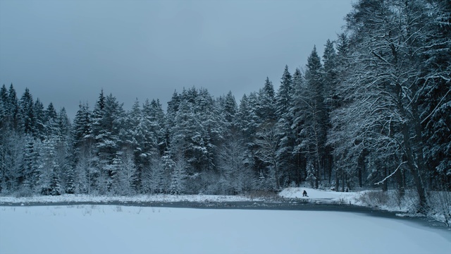 Video Reference: Snow, Winter, Tree, White, Nature, Sky, Atmospheric phenomenon, Freezing, Natural landscape, Natural environment