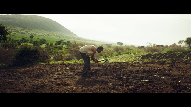 Video Reference: Soil, Farmworker, Sky, Tree, Rural area, Farmer, Adaptation, Plantation, Cloud, Field