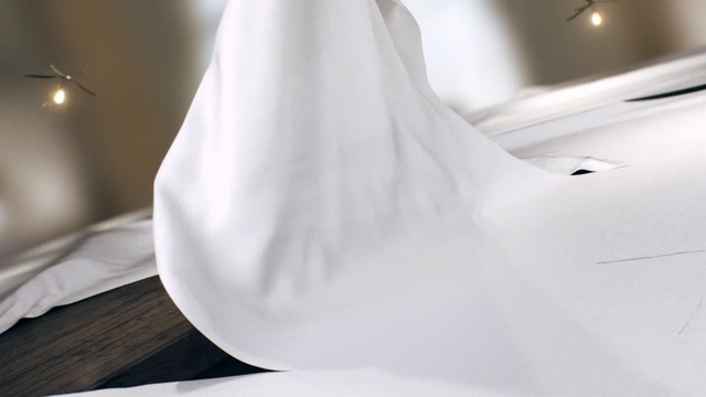 Video Reference: photograph, gown, bridal clothing, dress, shoulder, wedding dress, bride, neck, bridal accessory