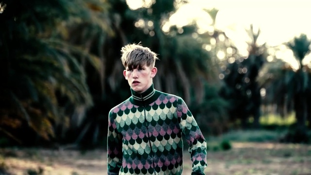 Video Reference: photograph, nature, tree, plant, photography, male, emotion, fun, human, grass, Person