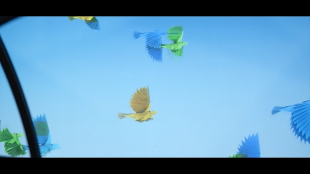 Video Reference: sky, leaf, daytime, wing, bird, flower, computer wallpaper