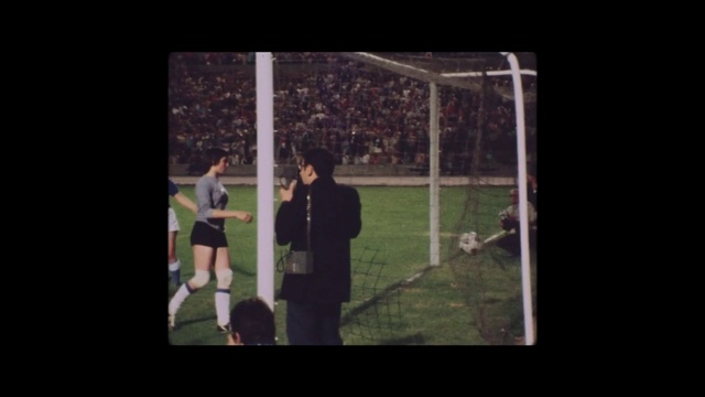 Video Reference: Photograph, Black, Football player, Net, Player, Grass, Snapshot, Standing, Photography, Line