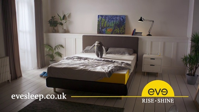 Video Reference: Bedroom, Furniture, Bed, Room, Property, Bed frame, Mattress, Bed sheet, Interior design, Nightstand