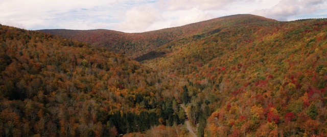 Video Reference: Mountainous landforms, Nature, Highland, Wilderness, Natural landscape, Vegetation, Hill, Mountain, Natural environment, Leaf
