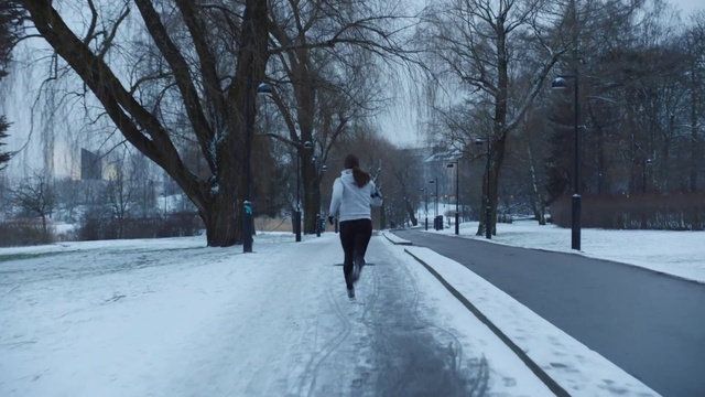 Video Reference: Snow, Winter, Photograph, Freezing, Tree, Snapshot, Winter storm, Morning, Walking, Road
