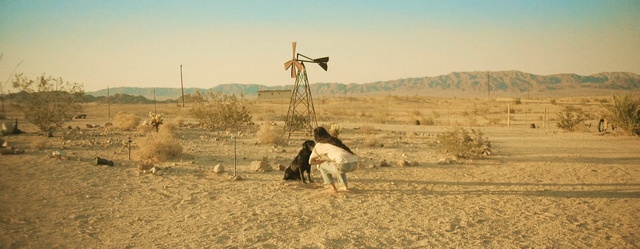 Video Reference: ecosystem, field, sky, grassland, prairie, grass family, rural area, ecoregion, steppe, landscape